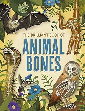 portada The Brilliant Book of Animal Bones (en Inglés)
