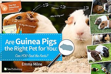 portada Are Guinea Pigs the Right Pet for You: Can You Find the Facts? (en Inglés)