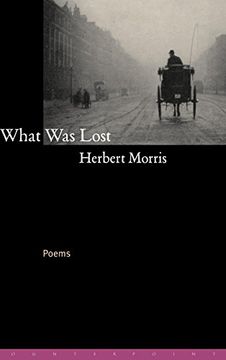 portada What was Lost: Poems (en Inglés)