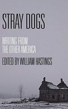 portada Stray Dogs: Writing From the Other America 