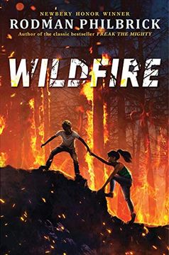 portada Wildfire: A Novel (in English)