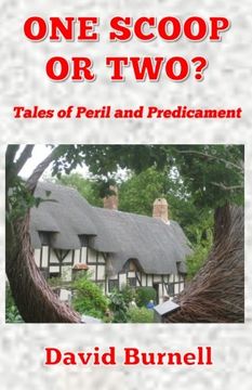 portada One Scoop or Two? (Perils and Predicaments) (Volume 2)