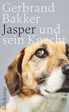 portada Jasper und Sein Knecht (Suhrkamp Taschenbuch) (en Alemán)