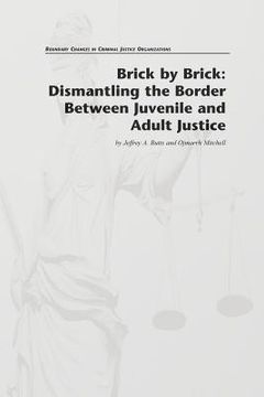 portada Brick by Brick: Dismantling the Border Between Juvenile and Adult Justice (en Inglés)