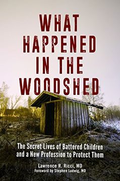 portada What Happened in the Woodshed: The Secret Lives of Battered Children and a New Profession to Protect Them