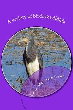 portada A variety of birds & wildlife (en Inglés)