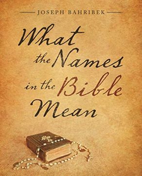 portada What the Names in the Bible Mean (en Inglés)