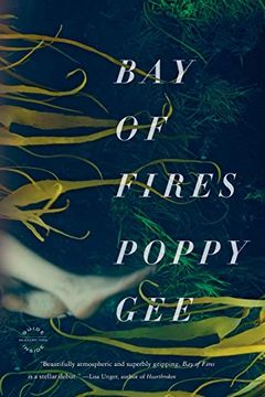 portada Bay of Fires: A Novel (in English)
