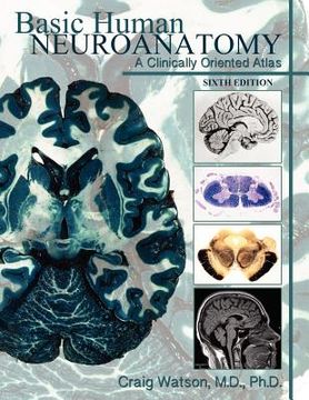 portada basic human neuroanatomy: a clinically oriented atlas (en Inglés)