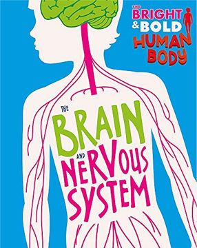 portada The Brain and Nervous System (The Bright and Bold Human Body) (in English)