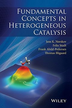 Fundamental Concepts in Heterogeneous Catalysis (en Inglés)