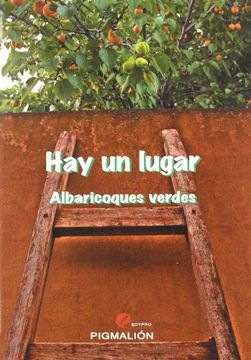 portada Hay Un Lugar (in Spanish)