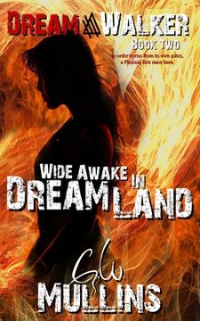 portada Wide Awake In Dream Land (in English)
