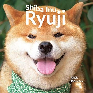 portada Shiba inu Ryuji