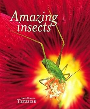 portada Amazing Insects (en Inglés)