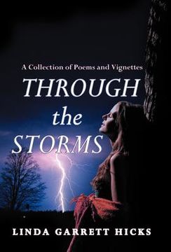 portada through the storms: a collection of poems and vignettes