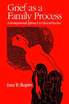 portada grief as a family process: a developmental approach to clinical practice (en Inglés)