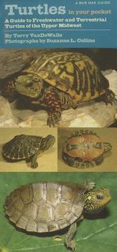 portada turtles in your pocket