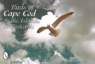 portada birds of cape cod & the islands in postcards (in English)