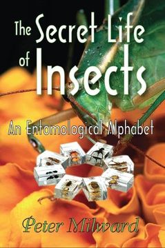 portada The Secret Life of Insects: An Entomological Alphabet (en Inglés)