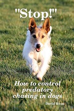 portada "Stop! " how to Control Predatory Chasing in Dogs (en Inglés)
