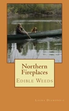 portada Northern Fireplaces