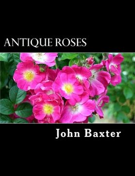 portada Antique Roses (en Inglés)