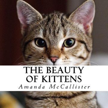 portada The Beauty of Kittens: A text-free book for Seniors and Alzheimer's patients (in English)