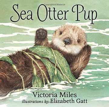 portada Sea Otter Pup (in English)