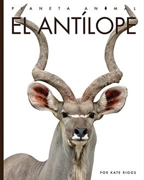 portada El Antílope (Planeta Animal) (in English)