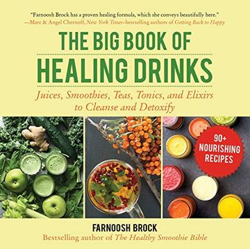 portada The big Book of Healing Drinks: Juices, Smoothies, Teas, Tonics, and Elixirs to Cleanse and Detoxify (in English)