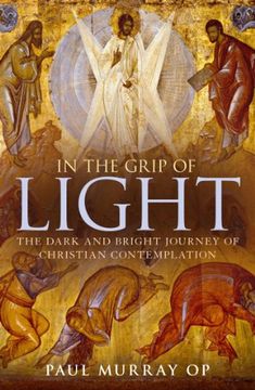 portada in the grip of light (in English)