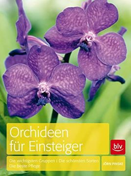 portada Orchideen für Einsteiger: Die Wichtigsten Gruppen die Schönsten Sorten die Beste Pflege 