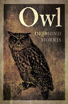 portada Owl 