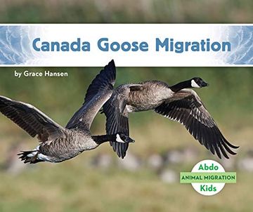 portada Canada Goose Migration (Animal Migration) (en Inglés)