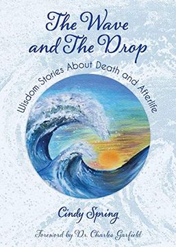 portada The Wave and the Drop: Wisdom Stories About Death and Afterlife 