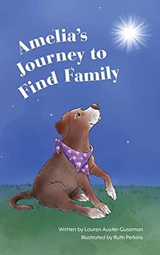 portada Amelia'S Journey to Find Family (in English)