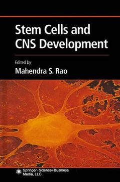portada stem cells and cns development (en Inglés)