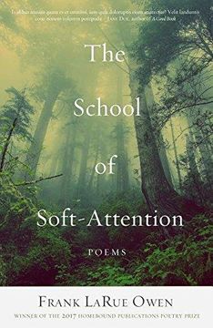 portada The School Of Soft-Attention (en Inglés)