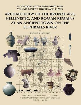 portada Archaeology of the Bronze Age, Hellenistic, and Roman Remains at an Ancient Town on the Euphrates River: Excavations at Tell Es-Sweyhat, Syria Volume (in English)