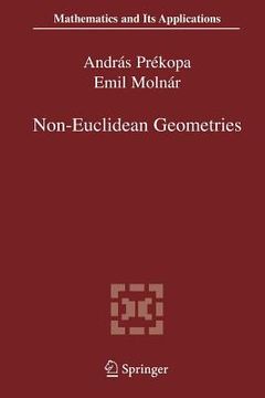 portada Non-Euclidean Geometries: János Bolyai Memorial Volume (en Inglés)
