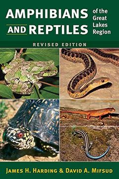 portada Amphibians and Reptiles of the Great Lakes Region (Great Lakes Environment)