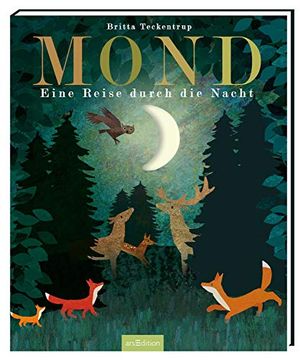 portada Mond: Eine Reise Durch die Nacht (Britta Teckentrup Bilderbücher) (en Alemán)