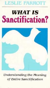 portada what is sanctification?: understanding the meaning of entire sanctification (en Inglés)