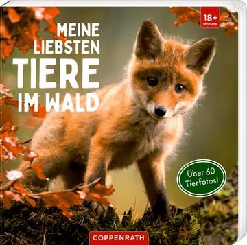 portada Meine Liebsten Tiere im Wald (in German)