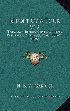 portada report of a tour v19: through behar, central india, peshawar, and yusufzai, 1881-82 (1885) (en Inglés)