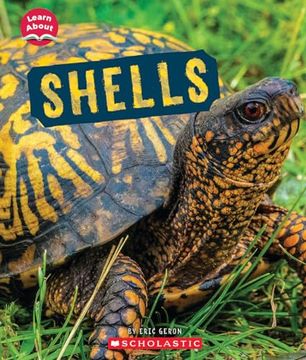 portada Shells (Learn About: Animal Coverings) (en Inglés)