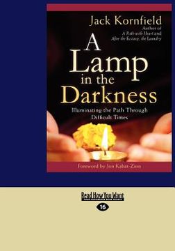 portada a lamp in the darkness: illuminating the path through difficult times (large print 16pt)