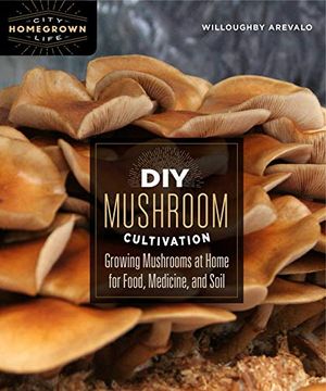 portada Diy Mushroom Cultivation: Growing Mushrooms at Home for Food, Medicine, and Soil: 6 (Homegrown City Life) (en Inglés)