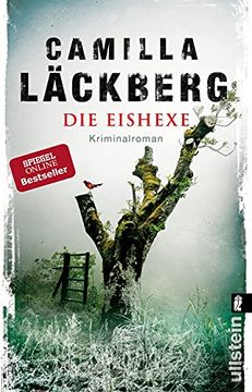portada Die Eishexe: Kriminalroman (Ein Falck-Hedström-Krimi, Band 10) (in German)